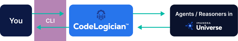 Schematic diagram of workflow when using CodeLogician CLI directly